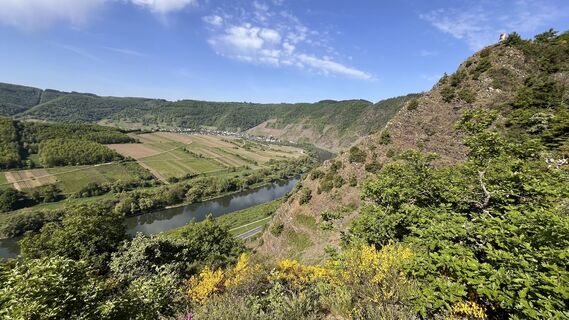 Fotografia z Erich Graf 2 na trase