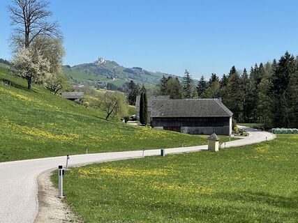 Fotografia z Martino68 na trase