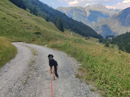 Foto von Xenia Lange entlang der Tour