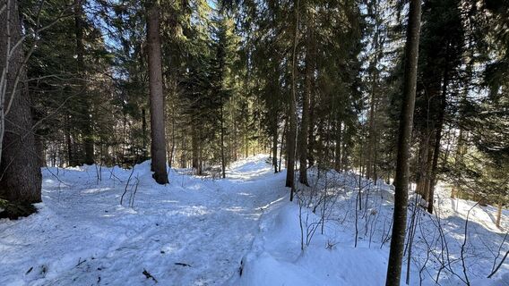 Zdjęcie z peter_oe wzdłuż trasy