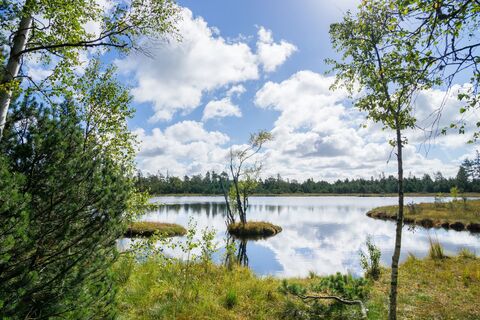 Am Wildsee sollte man den tollen Blick auf die einzigartige Natur genießen