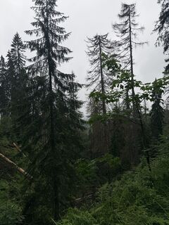 Foto von Artur Starosta entlang der Tour
