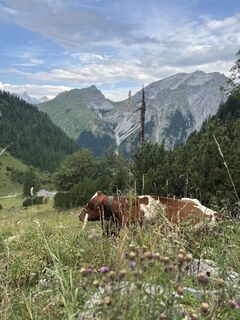 Foto von Sunil entlang der Tour