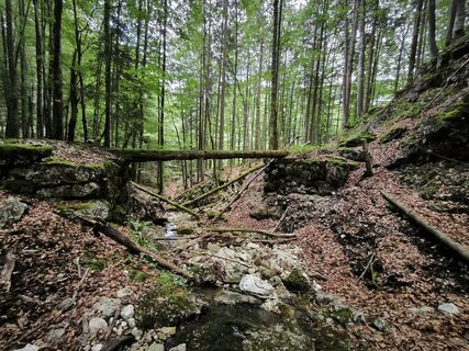 Photo de thomas rothauer le long du parcours