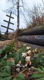 Foto von Susi Puhl entlang der Tour