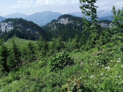 Fotografia z otmar strasser na trase