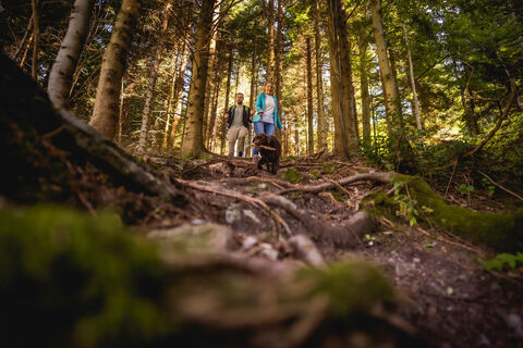 Auf dem Maisacher Turmsteig