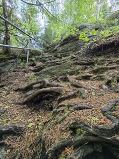 Fotografia z Elisabeth Zednik na trase