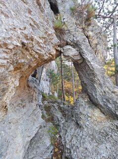 Foto de RobuC a lo largo del recorrido