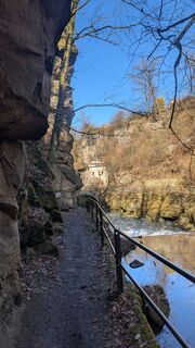 Foto von hochlandfamilie entlang der Tour
