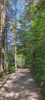 Foto von Sonja Enzenhofer entlang der Tour