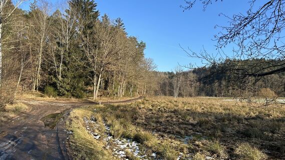 Photo de Matthias G74 le long du parcours