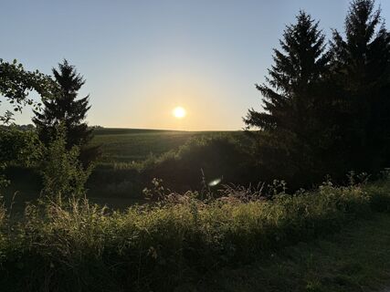 Fotografija s spletne strani Schaali na poti