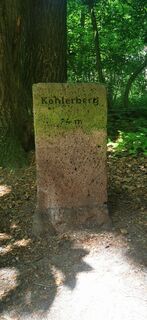 Foto von Klaus Lehner entlang der Tour