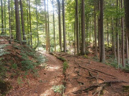 Foto von poettl entlang der Tour