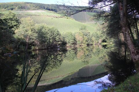 Zdjęcie z Günter Kleutsch wzdłuż trasy