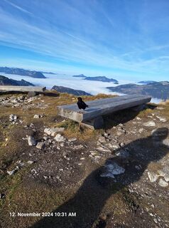 Foto von Markus Bischof 3 entlang der Tour