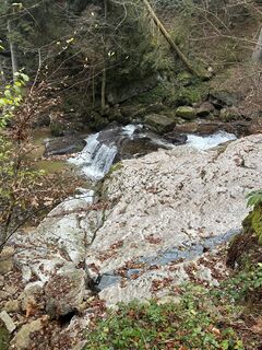Fotografija s spletne strani Babs Holz na poti