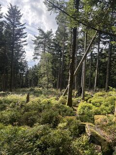 Foto de mo a lo largo del recorrido