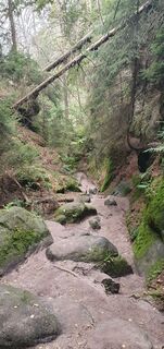 Foto von Moni entlang der Tour