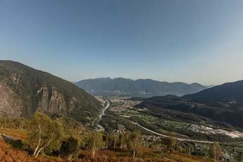 Bosco di Maia