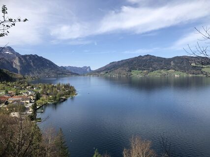 Fotografia z skibbeldiwapwap na trase