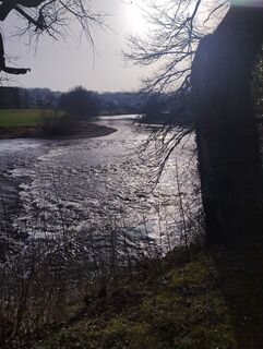 Foto de Koenigs Wolfgang a lo largo del recorrido