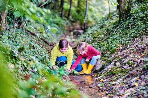 Kinder spielen im Wald