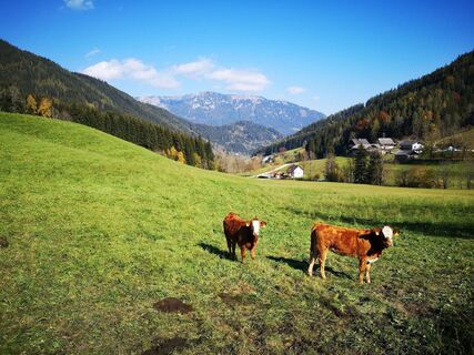Im Arzbach
