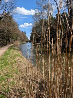 Foto de Speedy Gonzales a lo largo del recorrido