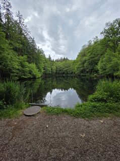 Foto von Wandertherapie entlang der Tour
