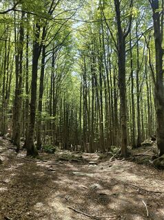 Foto de Luca Barsotti a lo largo del recorrido