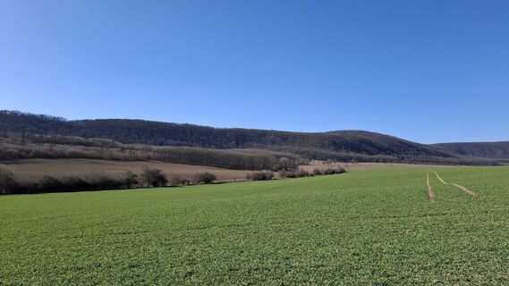 Foto de Márti a lo largo del recorrido