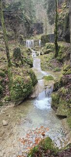 Photo de Zèé le long du parcours