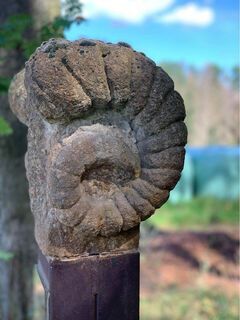 "Das goldene Vlies" Ars Natura Runde Spangenberg
