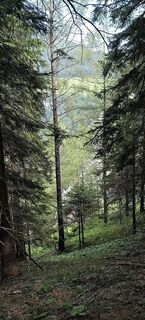 Foto von Bergpirat entlang der Tour