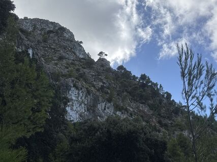 Foto von Grizzli entlang der Tour