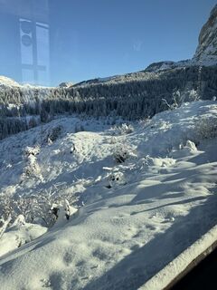 Foto de Kiwi Ganter a lo largo del recorrido