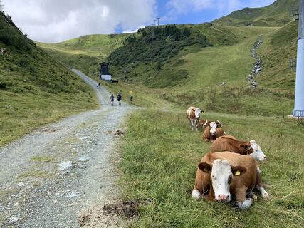 Foto de Koen De Wit a lo largo del recorrido
