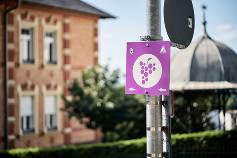 Weinwanderweg (lila Route)