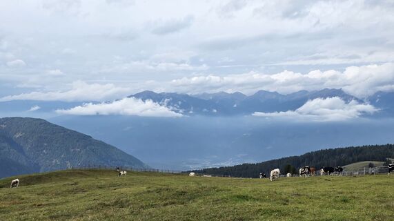 Foto von Helmuth Ammerer entlang der Tour