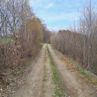 Fotografija s spletne strani Christian Graf na poti