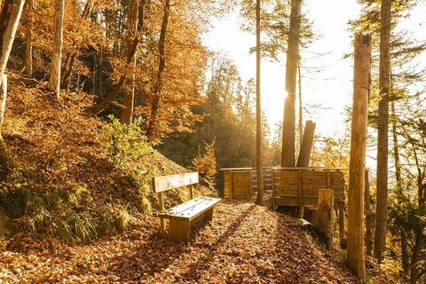 Sägaweiherweg im Herbst
