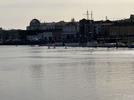 Fotografia z Helmut Schellmann na trase