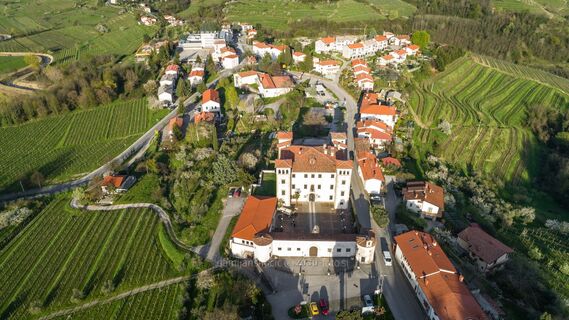 Schloss Dobrovo und das Dorf Dobrovo