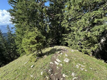 Photo de Peter biro le long du parcours