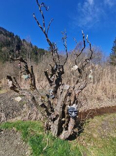 Kuva osoitteesta Astrid Tomada matkan varrella