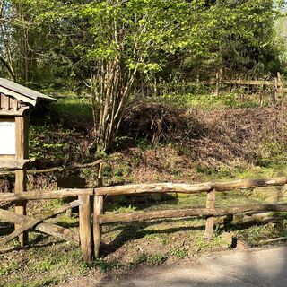 20220505_Gesundbrunnen_Valbert (2).jpg