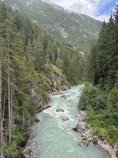 Foto von Grizzli entlang der Tour