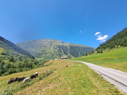 Foto von Christian Lerchster entlang der Tour